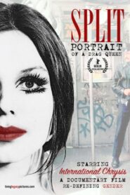 Split: Portrait of a Drag Queen 1993 one on netflix
