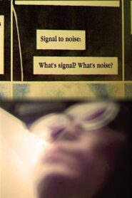 Signal to Noise 1998 one on netflix