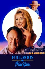 Full Moon in Blue Water 1988 one on netflix