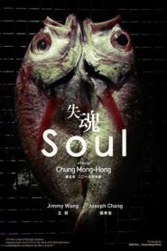 Soul 2013 one on netflix