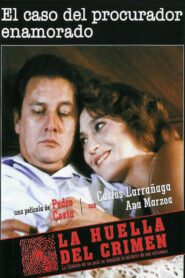 El caso del procurador enamorado 1985 one on netflix