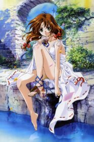 Words Worth: Sharon’s Home Cooking vs. Mew’s Cosplay vs. Nina’s Established Fact – Three-Cornered Battle 2009 one on netflix