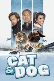 Cat and Dog 2024 one on netflix