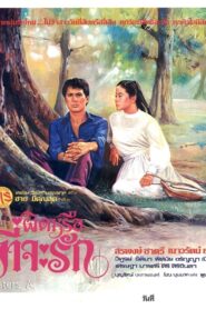 ผิดหรือที่จะรัก 1980 one on netflix