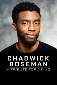 Chadwick Boseman: A Tribute for a King 2020 one on netflix
