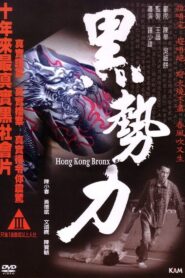 Hong Kong Bronx 2008 one on netflix