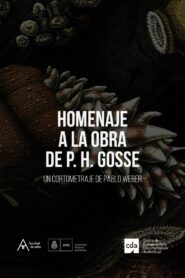 Homage to the Work of Philip Henry Gosse 2020 one on netflix