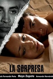 La sorpresa 2008 one on netflix