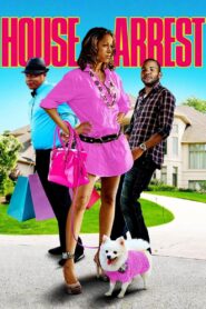 House Arrest 2012 one on netflix