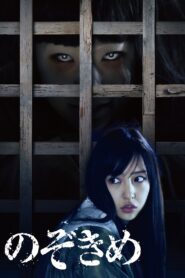 The Stare 2016 one on netflix