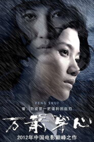Feng Shui 2012 one on netflix