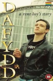 Dafydd 1995 one on netflix