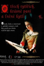 O třech rytířích, krásné paní a lněné kytli 1996 one on netflix