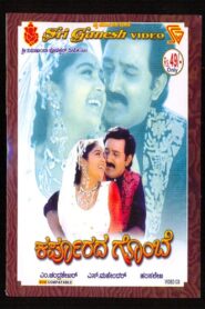 Karpoorada Gombe 2000 one on netflix