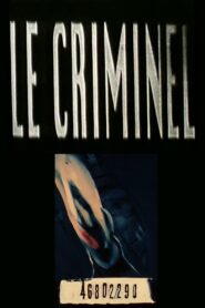 The Criminals 1993 one on netflix