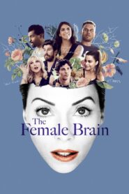 The Female Brain 2017 one on netflix