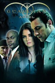 Guardian Angel 2014 one on netflix