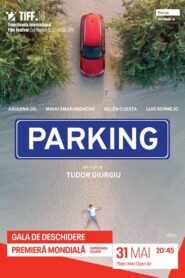 Parking 2019 one on netflix