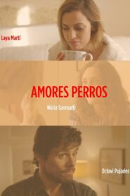 Amores perros 2016 one on netflix