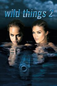 Wild Things 2 2004 one on netflix