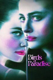 Birds of Paradise 2021 one on netflix