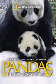 Pandas: The Journey Home 2014 one on netflix