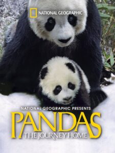 Pandas: The Journey Home 2014 one on netflix
