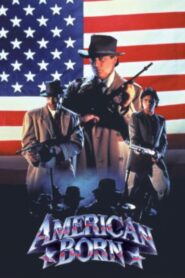 American Born 1990 one on netflix