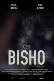 Bisho 2020 one on netflix