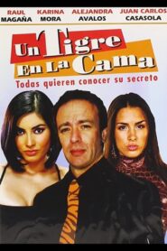 Un tigre en la cama 2009 one on netflix