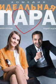 The Ideal Couple 2014 one on netflix