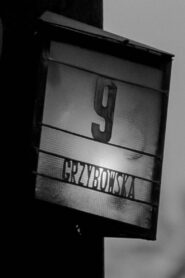 For Example, 9 Grzybowska Street 1991 one on netflix