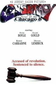 Conspiracy: The Trial of the Chicago 8 1987 one on netflix