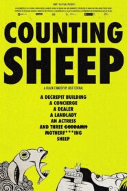 Counting Sheep 2022 one on netflix