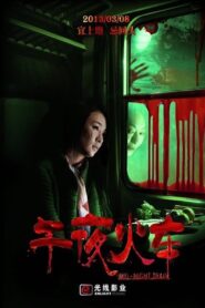 Mid-Night Train 2013 one on netflix