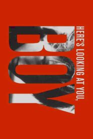Here’s Looking at You, Boy 2007 one on netflix