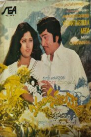 Yedanthasthula Meda 1980 one on netflix