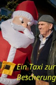 Ein Taxi zur Bescherung 2022 one on netflix