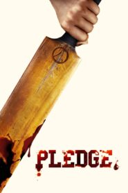 Pledge 2019 one on netflix