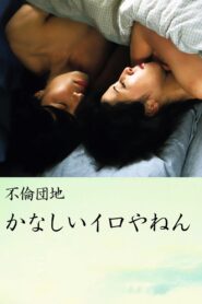 Affair Complex Sad Iro Yanen 2005 one on netflix