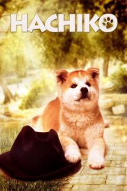 Hachiko 1987 one on netflix