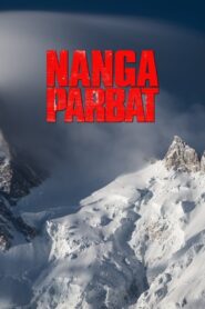 Nanga Parbat 2010 one on netflix