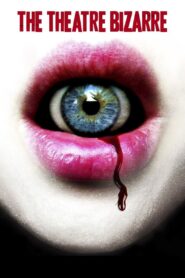 The Theatre Bizarre 2011 one on netflix