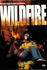 Wild Fire 2003 one on netflix