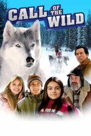 Call of the Wild 2009 one on netflix