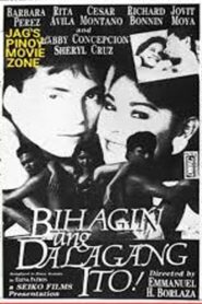 Bihagin Ang Dalagang Ito 1989 one on netflix