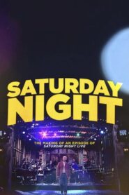 Saturday Night 2010 one on netflix