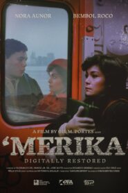 ‘Merika 1984 one on netflix