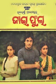 Jai Phula 1984 one on netflix
