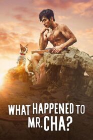 What Happened to Mr. Cha? 2021 one on netflix